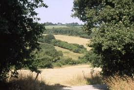 L&rsquo;arbre et la haie : mémoire et avenir du bocage